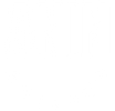ANIN Actives logo in white.